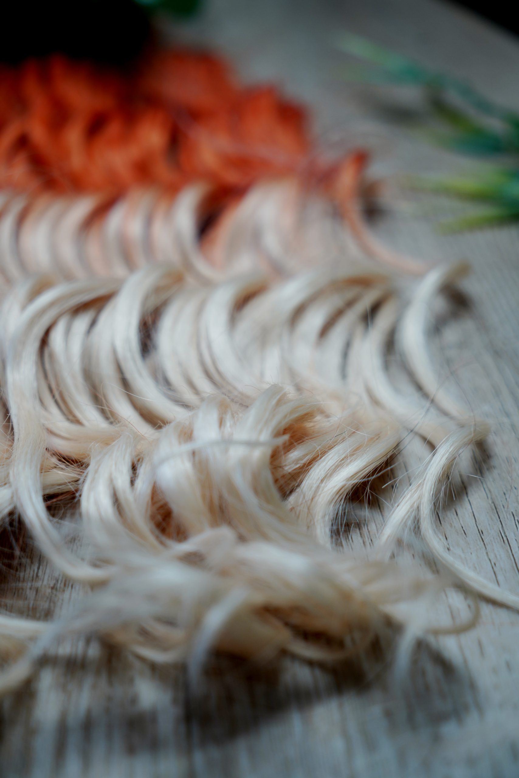 Coral drift - Image 2