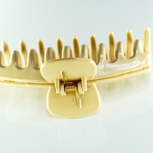 Claw clips 4