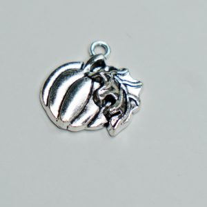 Charm small 16