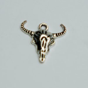 Charm Standard 11
