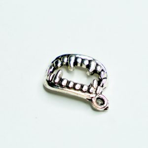 Charm small 11