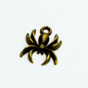 Charm small 10