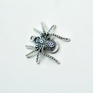 Charm Standard 17