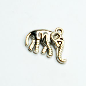 Charm small 25