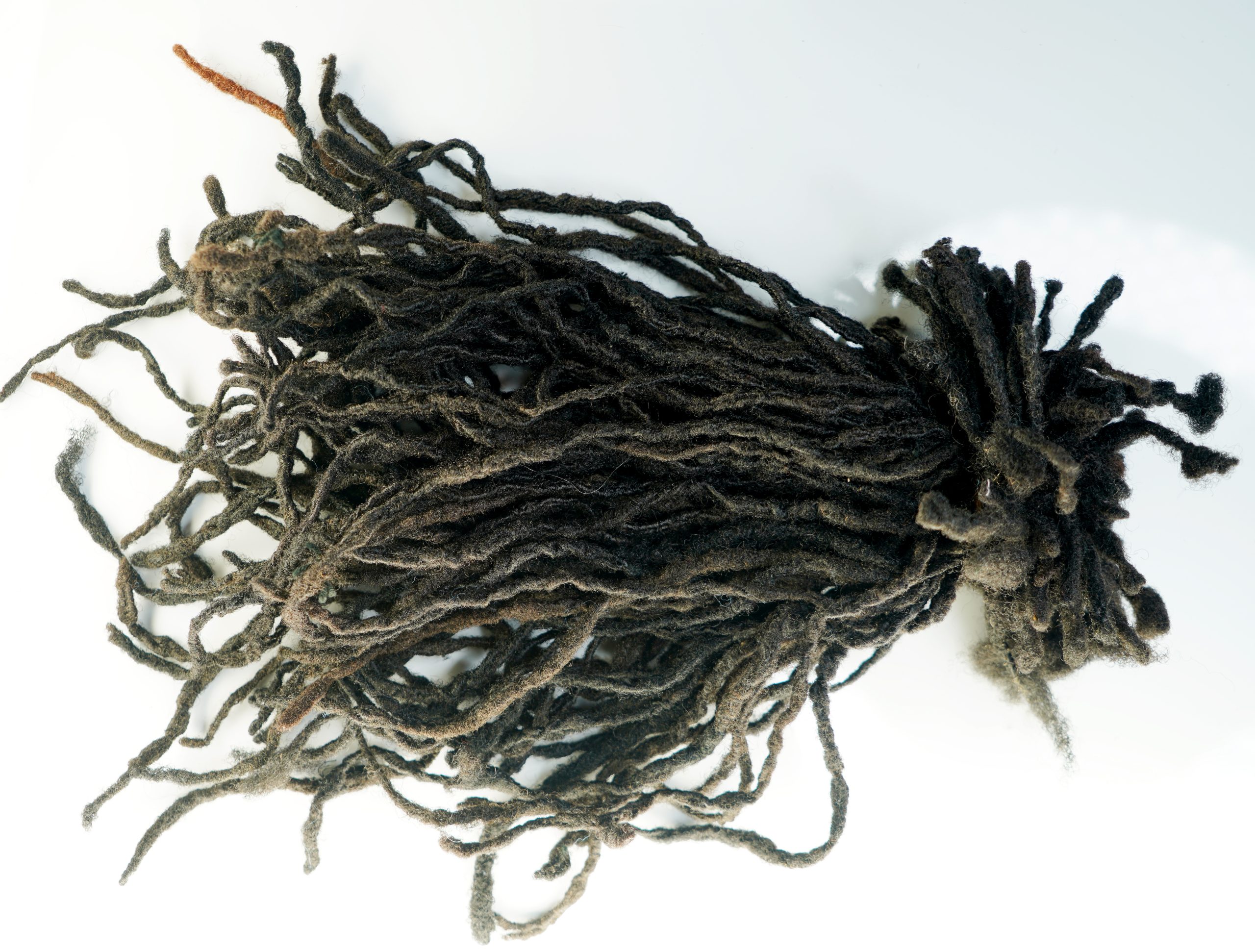 4.5yo locs 6-8-_ 0.4-0.6